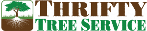 thrifty tree service's logo