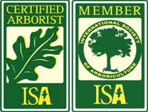 Certified Arborist ISA logo