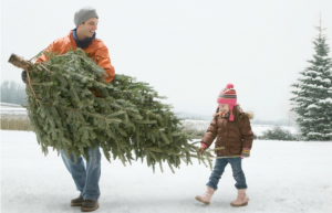 Men Carrying Tree With little girl in full of ice